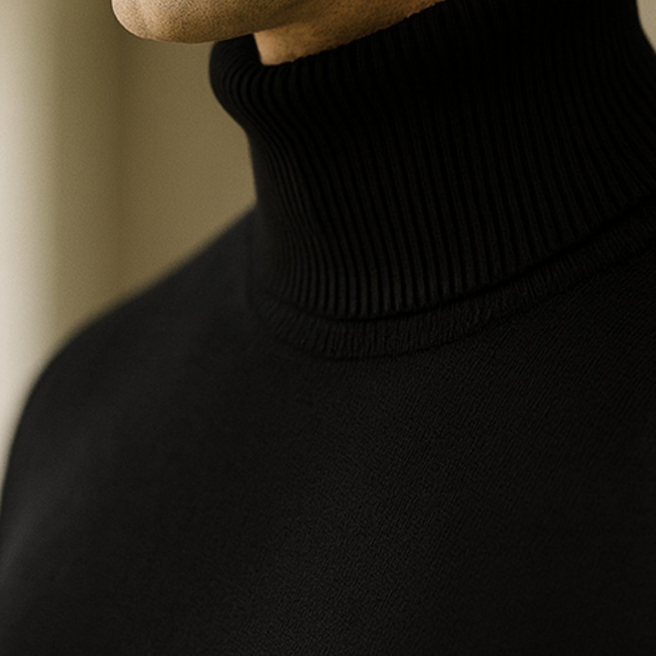 Enzo - Knitted Turtleneck