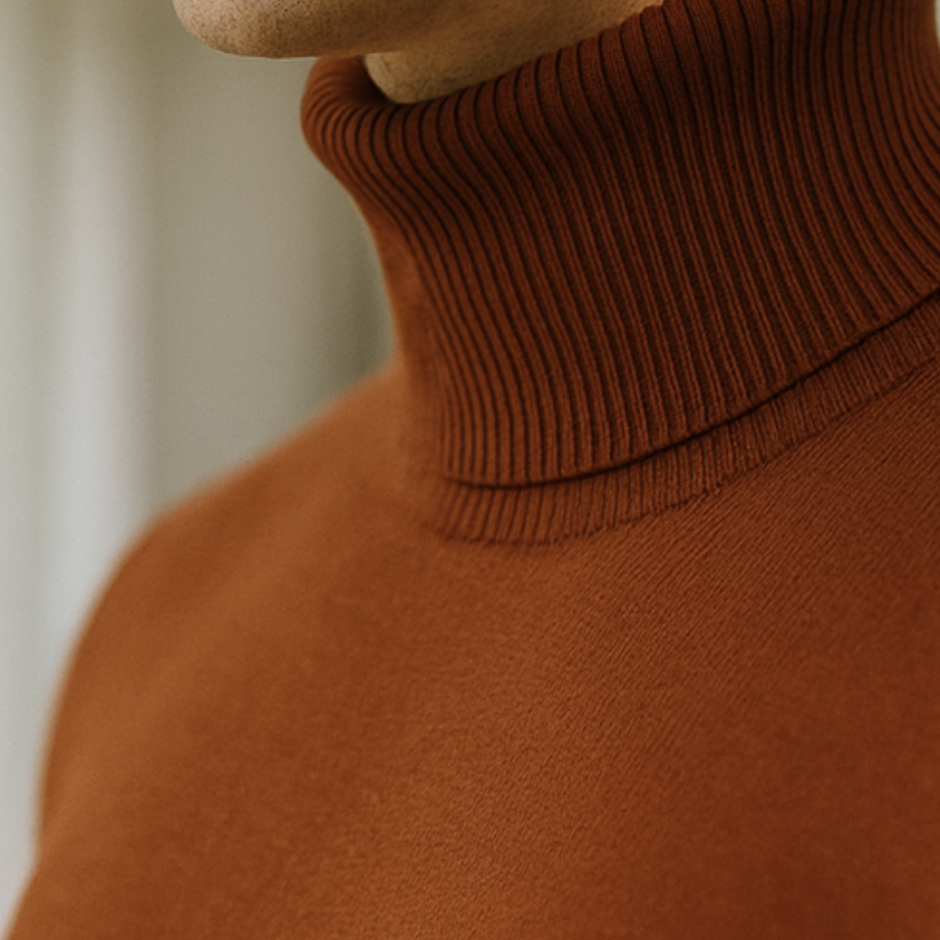 Enzo - Knitted Turtleneck