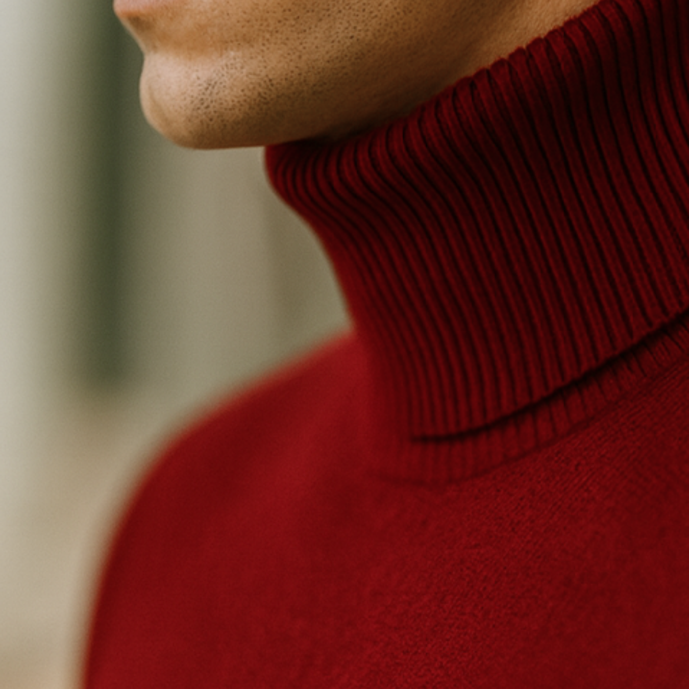 Enzo - Knitted Turtleneck