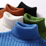 Merino Wool Turtleneck - Sweater