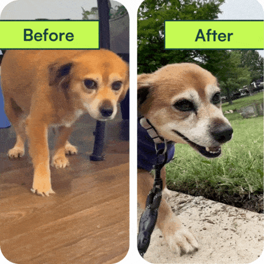Christina C. before and after