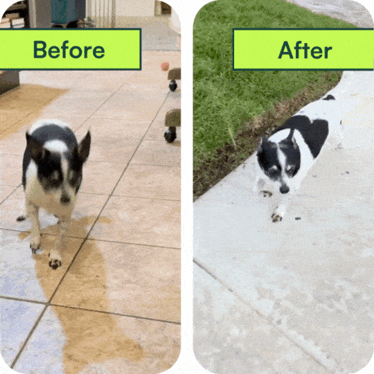 Michelle F. before and after