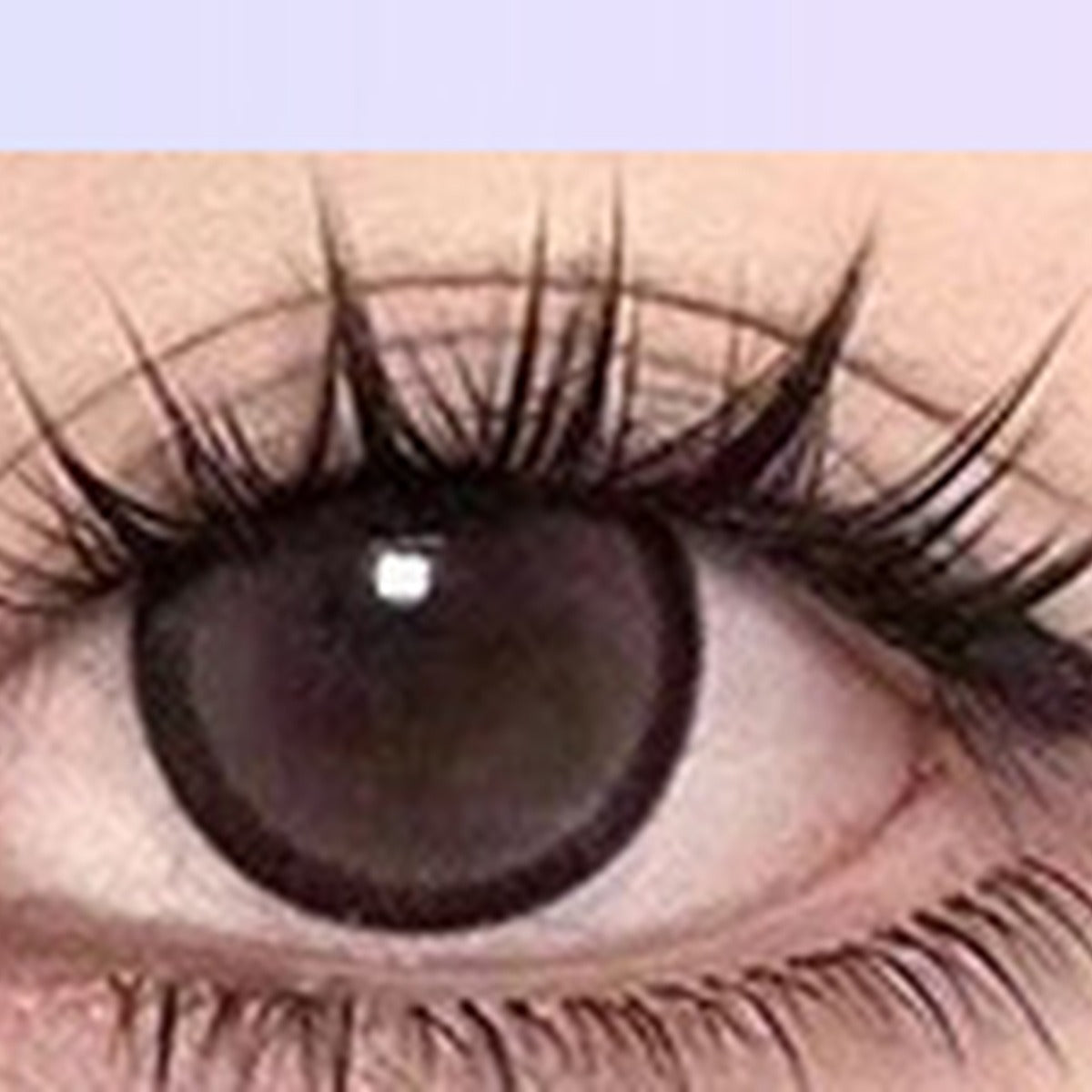Silkara customer lash result seven
