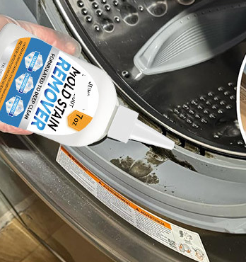 Black mould stain along a washing machine door gasket before treatment